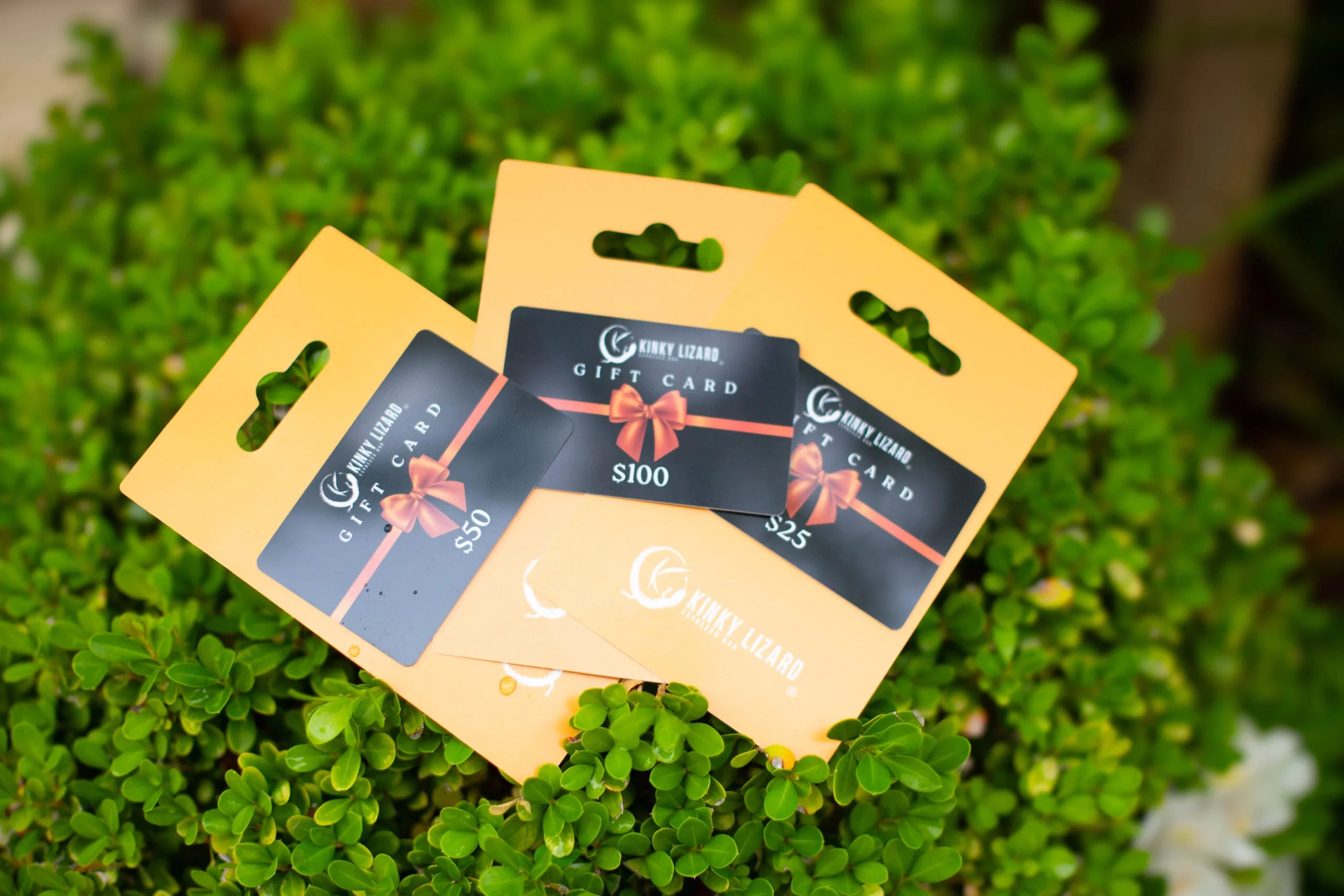 Kinky Lizard Café Gift Cards
